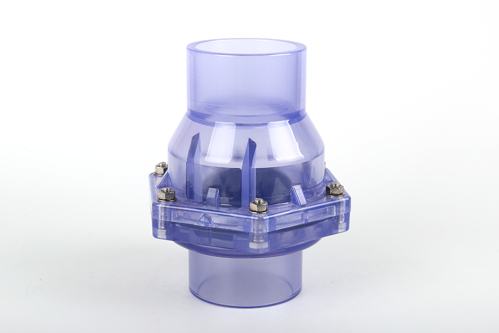 定兴透明翻板式止回阀